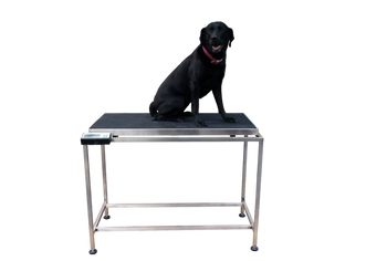 The Marsden VT-250: A Must-Have for Veterinary Practices