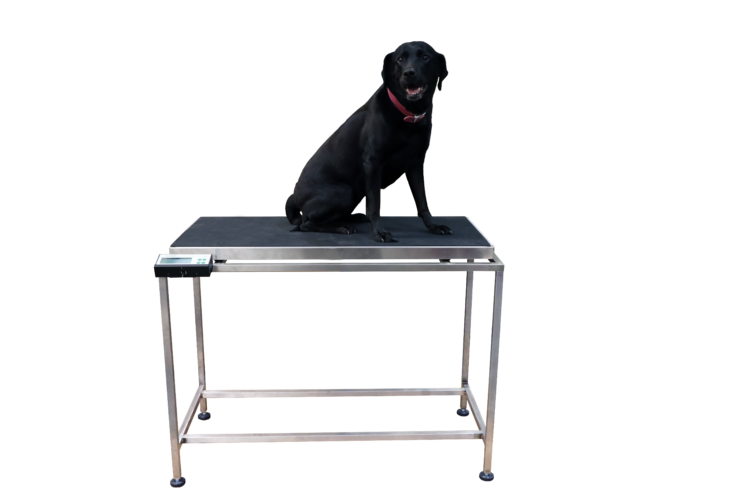 The Marsden VT-250: A Must-Have for Veterinary Practices