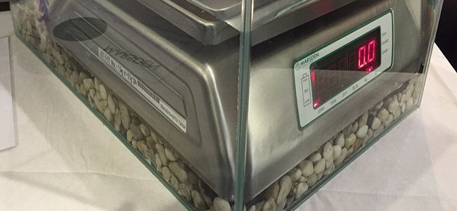 A Marsden Weighing Scale Submerged in a Fish Tank!