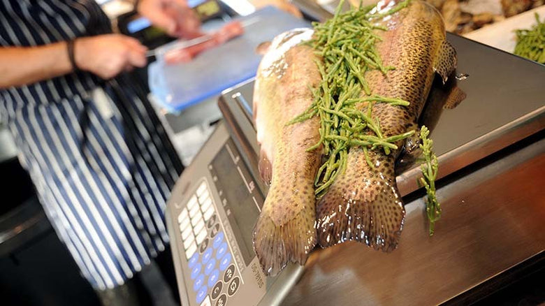 Introducing the DS-781SS Waterproof Computing Retail Scale