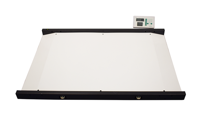 Best Practice: Weighing Patients with Dementia