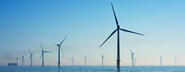 The Marsden Sustainability Policy Update