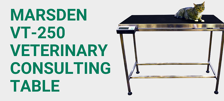 5 Reasons to Purchase The VT-250 Veterinary Consulting Table