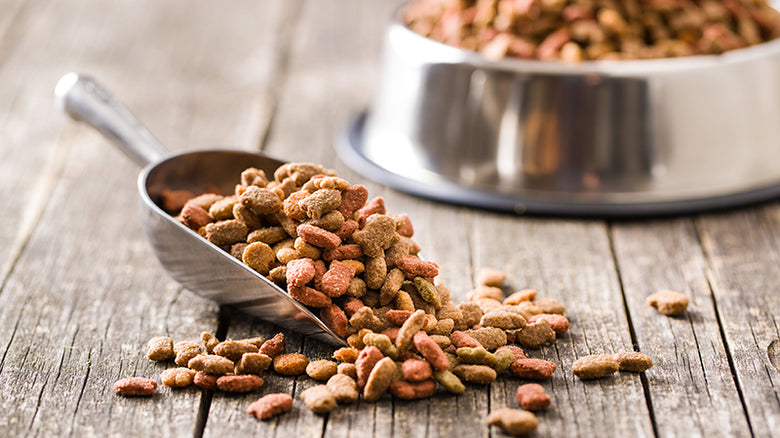 Owners should weigh their pet and food to reduce obesity