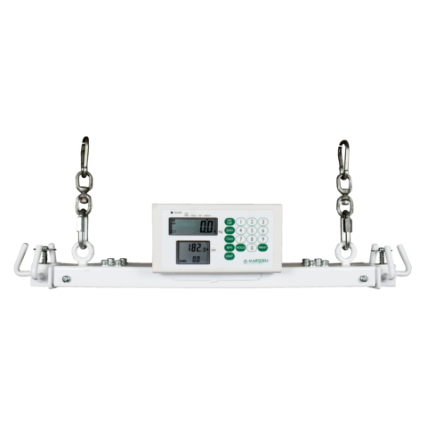 Hoist Weighing Scales
