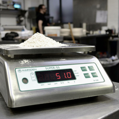 Marsden B-100 Waterproof Bench Scale