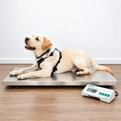 Marsden V-250 Large Veterinary Scale