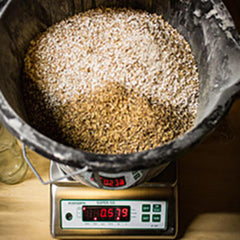 Marsden B-100 Waterproof Bench Scale