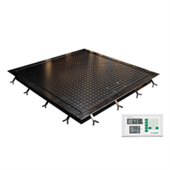 Marsden M-930 Pit Mounted Bed & Trolley Weigher