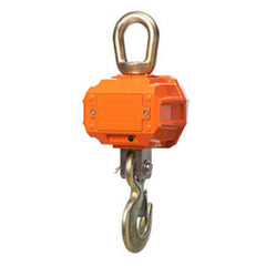 Marsden OCS-X Crane Scale