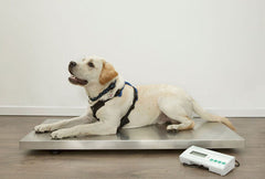 Marsden V-250 Floor Scale