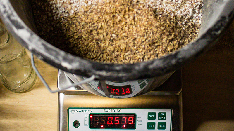 Better Brewing Starts with the B-100
