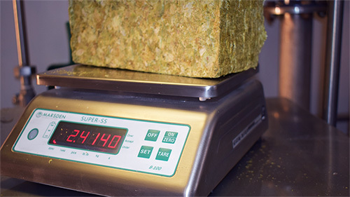 Why should breweries use Trade Approved scales?