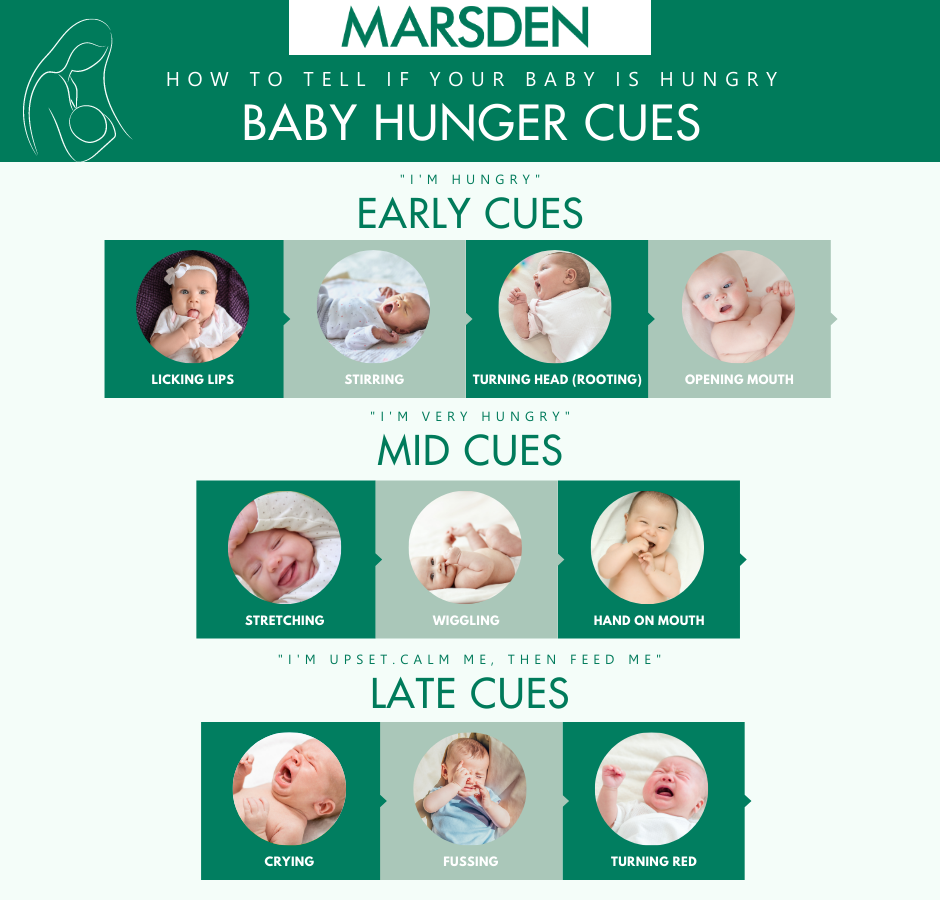 Baby Hunger Cues