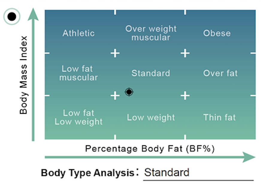 Body Composition Scales Body Type Analysis Chart Comparing Percentage Body Fat with Body Mass Index