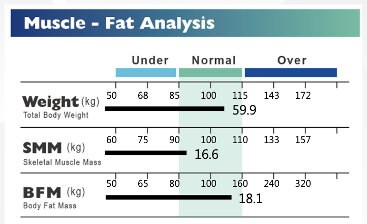 MA601 body composition scale fat analysis chart