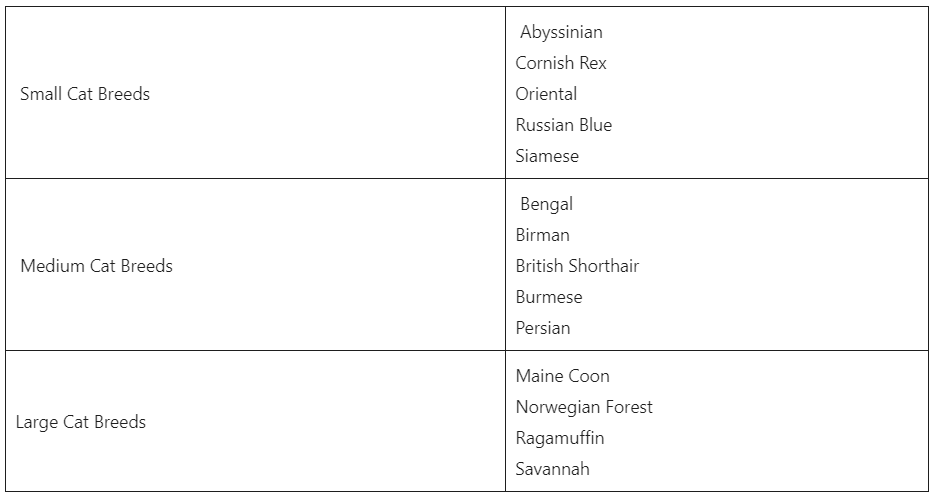 Cat Breed Sizes