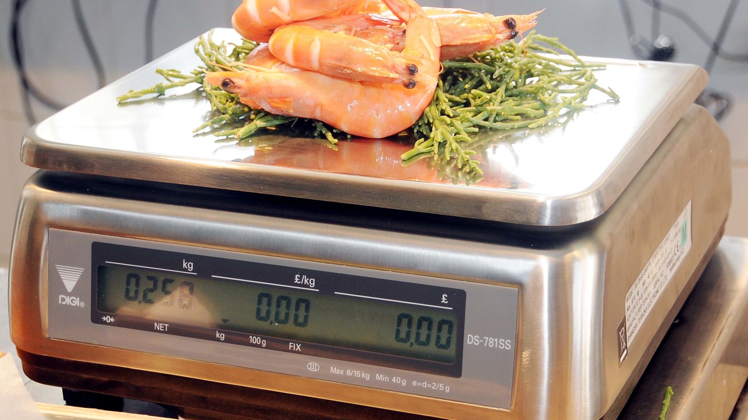 Buyer’s Guide: Scales for Fishmongers