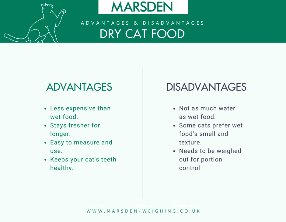 Dry Cat Food Advantages and Disadvantages