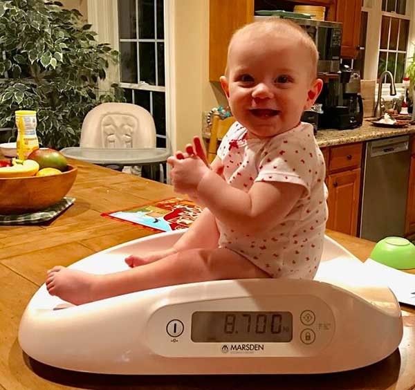 Baby Weigh Scale Rental  Triangle Lactation Consultants