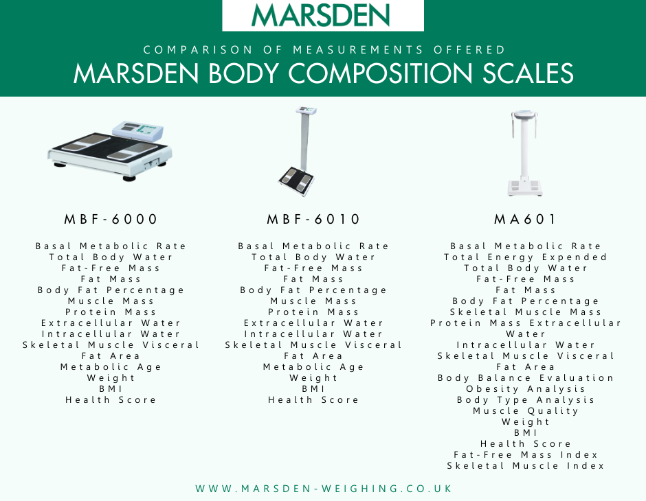 Body Composition Scale