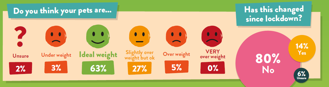 The Marsden Pet Weight Survey Resultes Are Here!