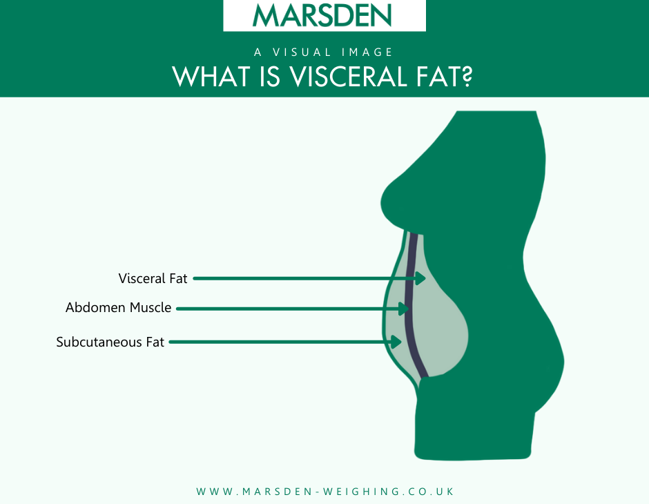 Body fat calipers, woman measuring subcutaneous percentage of fat