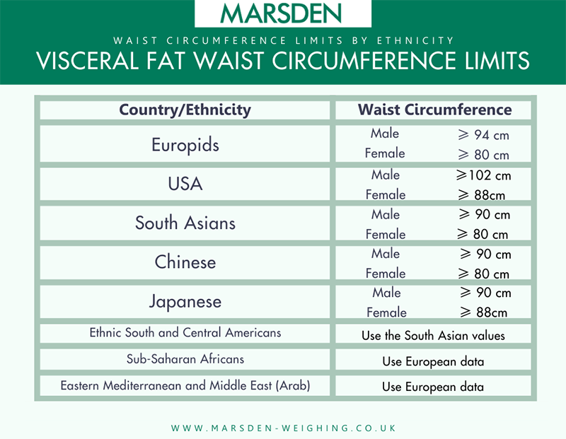 Table show waist circumference levels for different ethnicities that indicate visceral fat and possibility of being skinny fat, according to IDF