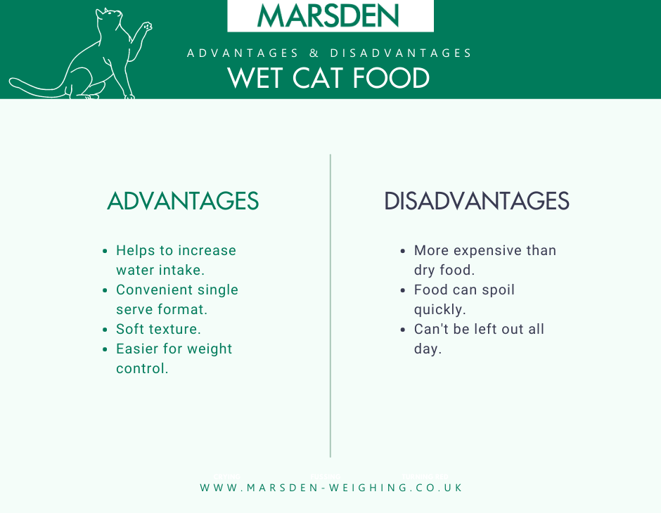 Wet Cat Food Advantages and Disadvantages.png