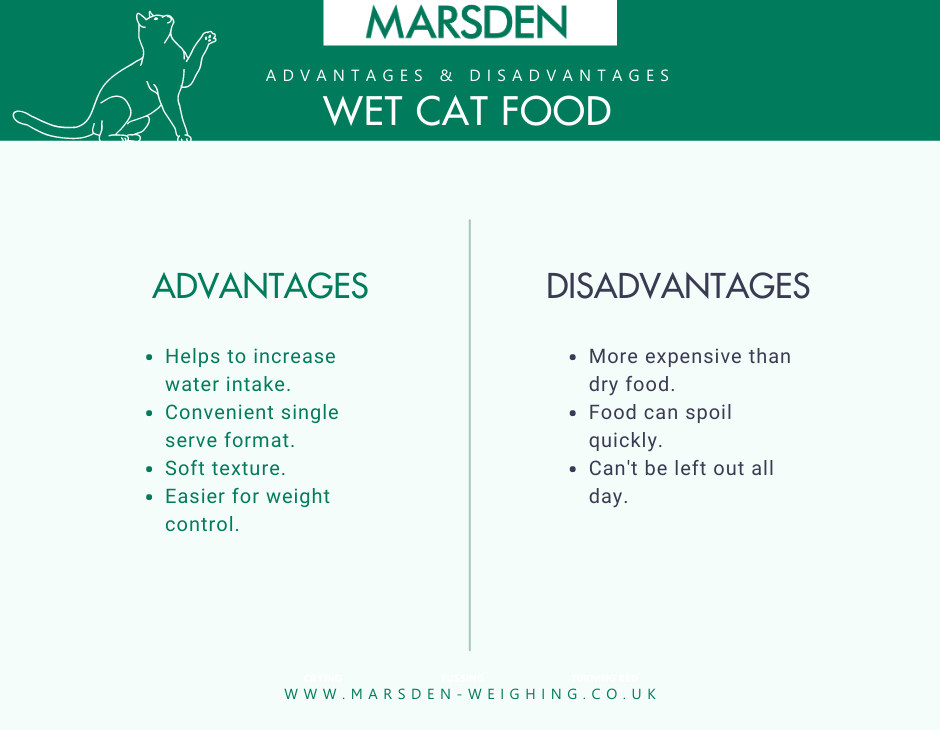 How Much Should I Feed My Cat Marsden Weighing