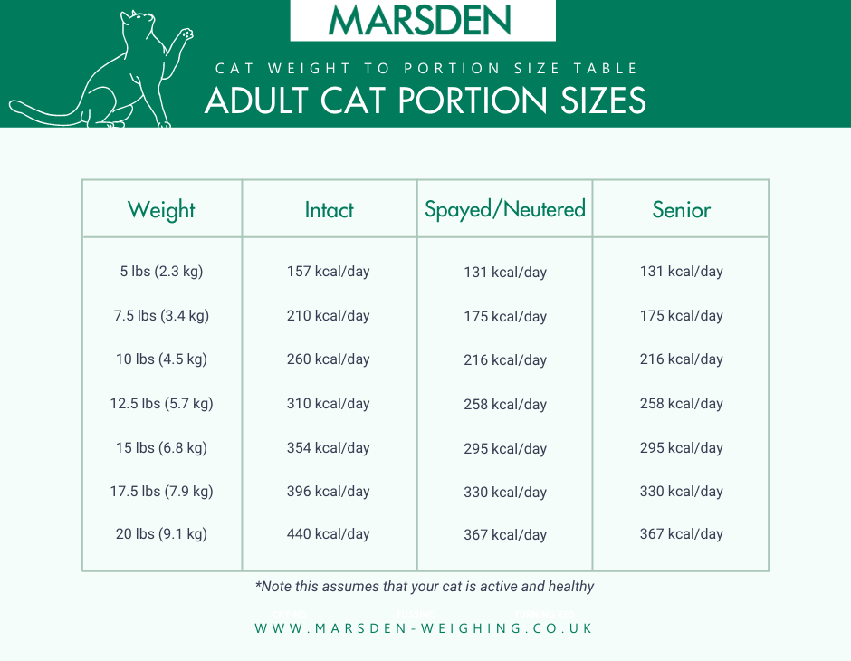 Adult Cat Portion Sizes