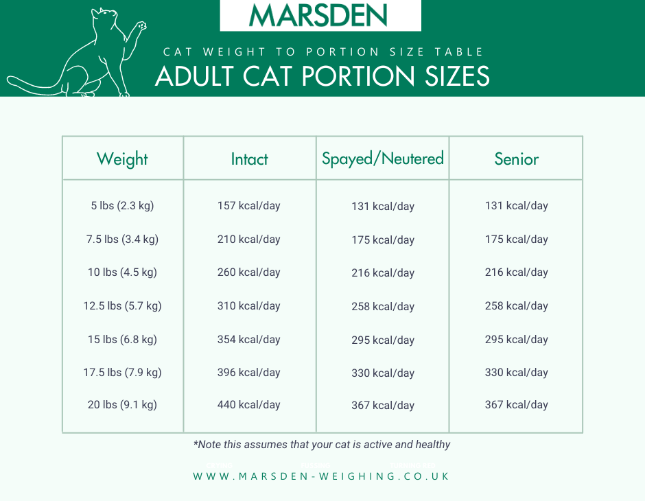 Cat Food Serving Size Dry Outlet Centralcountiesservices