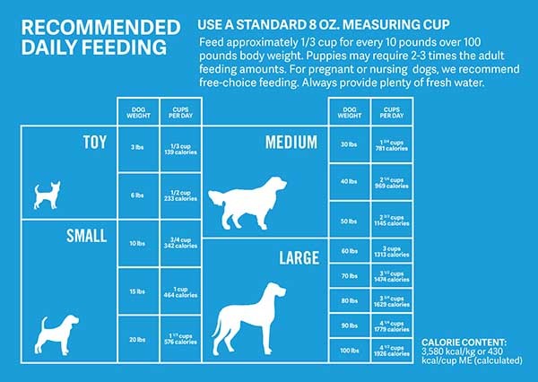 Recommended dog feeding guide