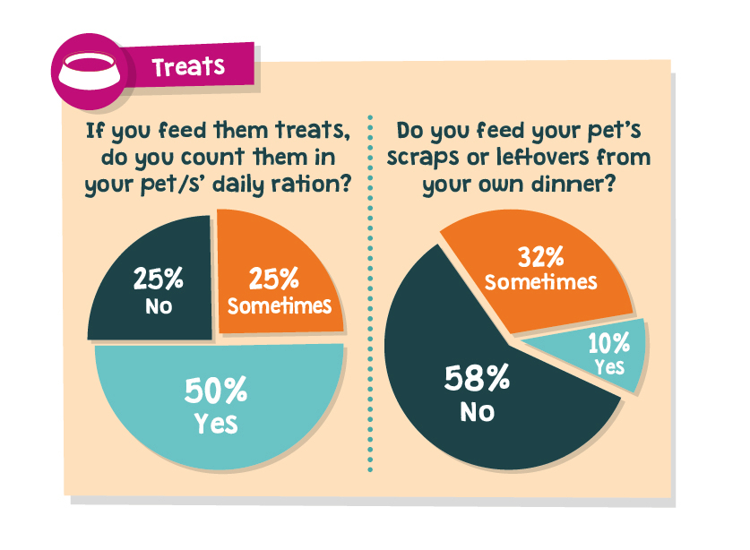 pet treat survey results