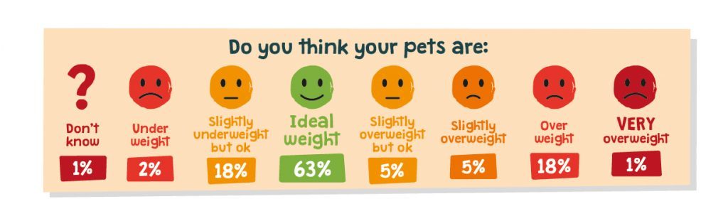 How healthy do you think your pet's weight is comparison based on survey results