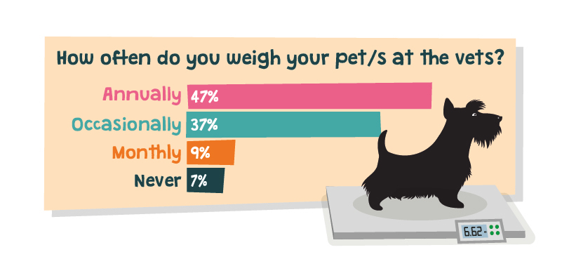 how often do you weigh your pet at the vets survey result