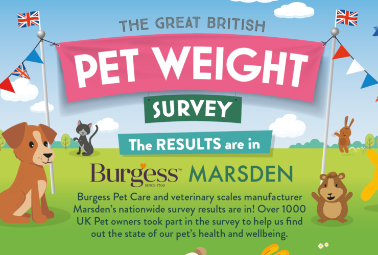 The Great British Pet Weight Survey 2021 - The Results