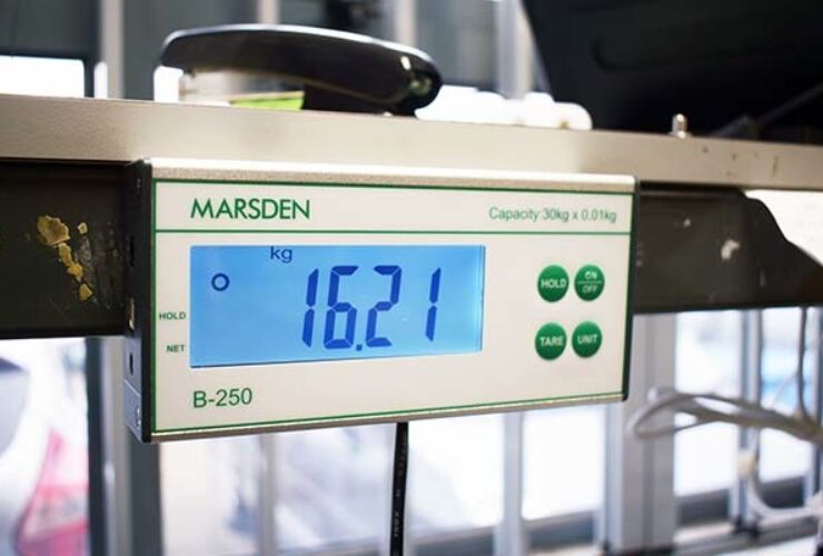 Industrial weighing scales to use when you’re short on space