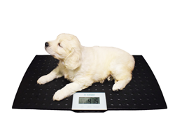 Marsden V-22 Small Veterinary Pet Scale For Weighing Cats & Dogs