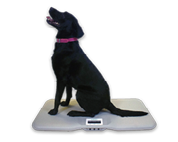 Marsden V-22 Small Veterinary Pet Scale For Weighing Cats & Dogs