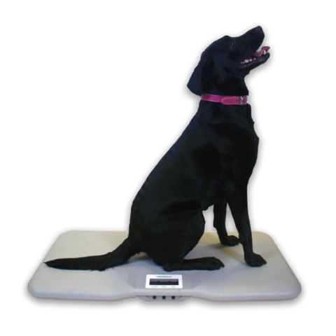  Dog Scales  Dog Weight Scale for Large Dogs, MAX