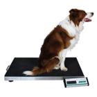 Marsden V 150 Large Veterinary Scale