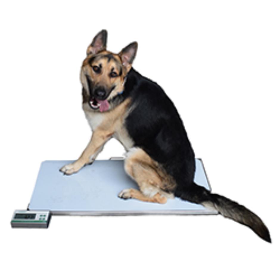 Marsden V-110 Medium to Large Dog Veterinary Weighing Scale