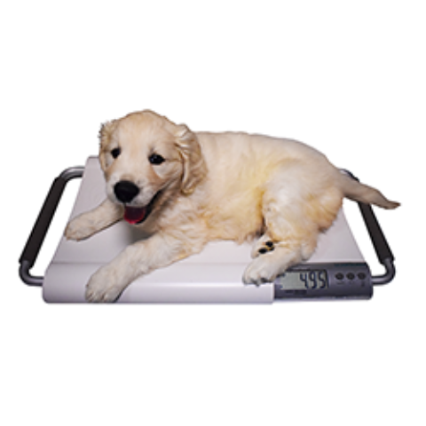  Dog Scales  Dog Weight Scale for Large Dogs, MAX