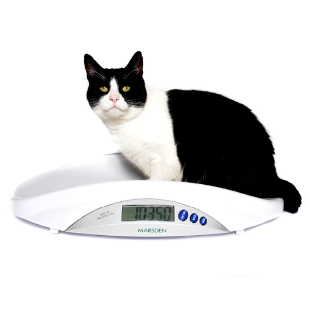 Digital Pet Dog Weight Scale Cat Puppy Weight Scale Portable Small Animal  Vet