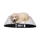 Marsden V 25 Pet Veterinary Scale 2