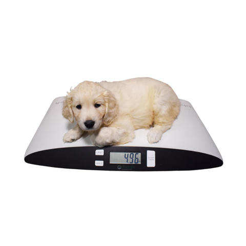 Mobile Veterinary Scales