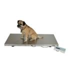 Marsden V 250 Large Pet Veterinary Scale 2