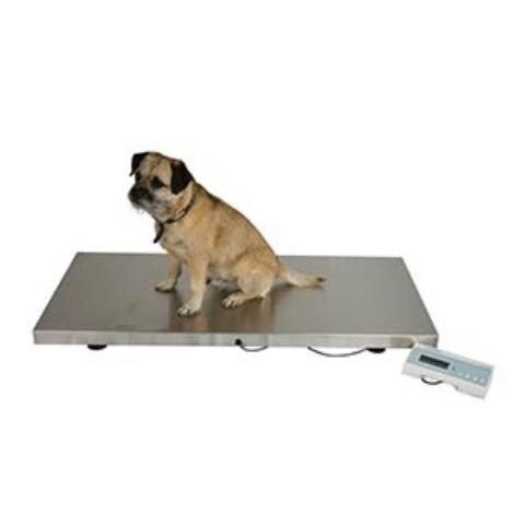 Pet Scales For Home Use, Animal Weighing