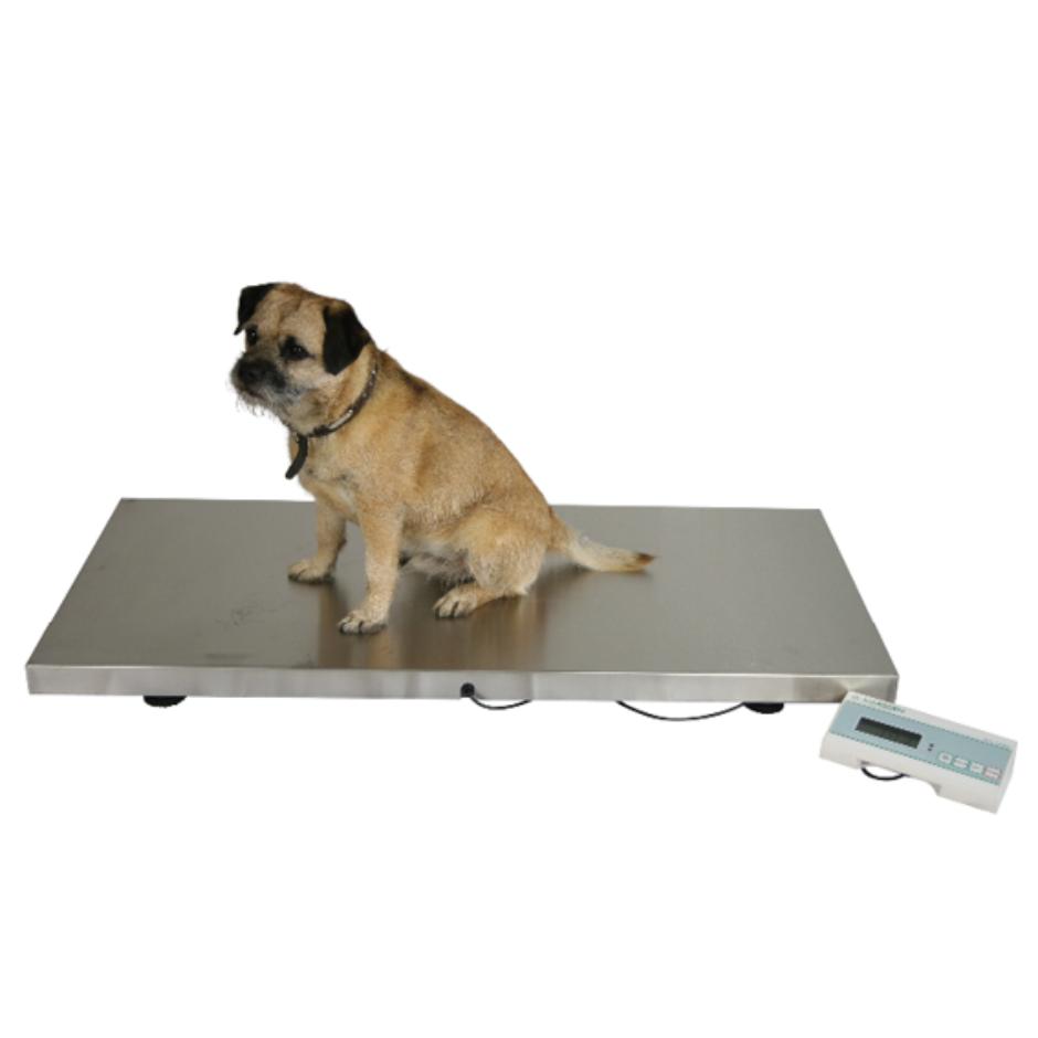 Marsden V250 Large High Capacity Stainless Steel Vet Scale Marsden